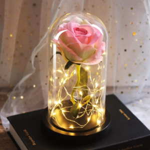 Mothers Day Wedding Favors Bridesmaid Gift Immortal Simulation Rose Glass Cover Luminous Led Ornament